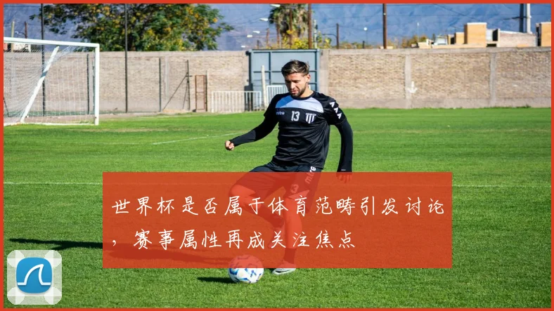 世界杯是否属于体育范畴引发讨论，赛事属性再成关注焦点
