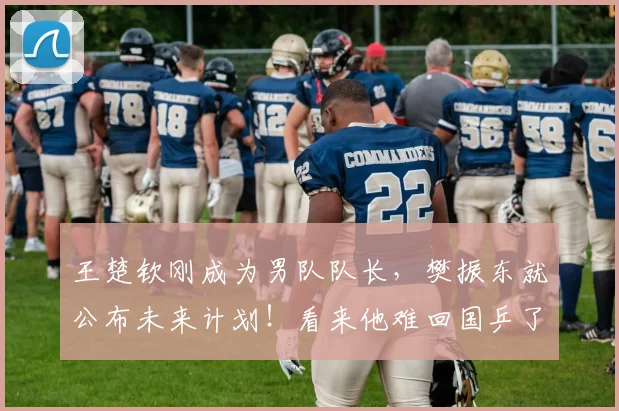 王楚钦刚成为男队队长,樊振东就公布未来计划!看来他难回国乒了