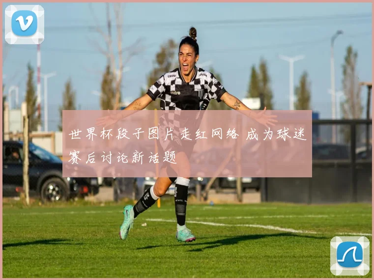 世界杯段子图片走红网络 成为球迷赛后讨论新话题