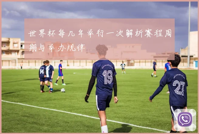 世界杯每几年举行一次解析赛程周期与举办规律
