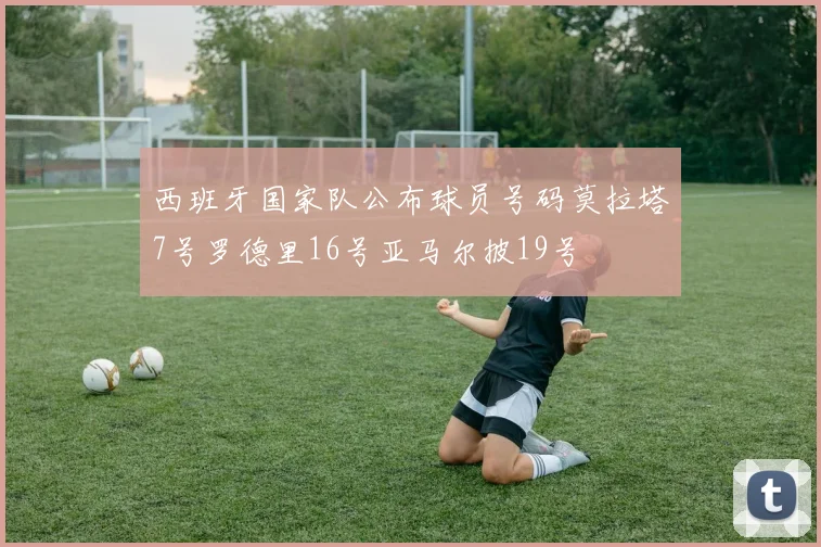 西班牙国家队公布球员号码莫拉塔7号罗德里16号亚马尔披19号