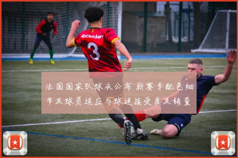法国国家队球衣公布 新赛季配色细节及球员适应与球迷接受度及销量预估